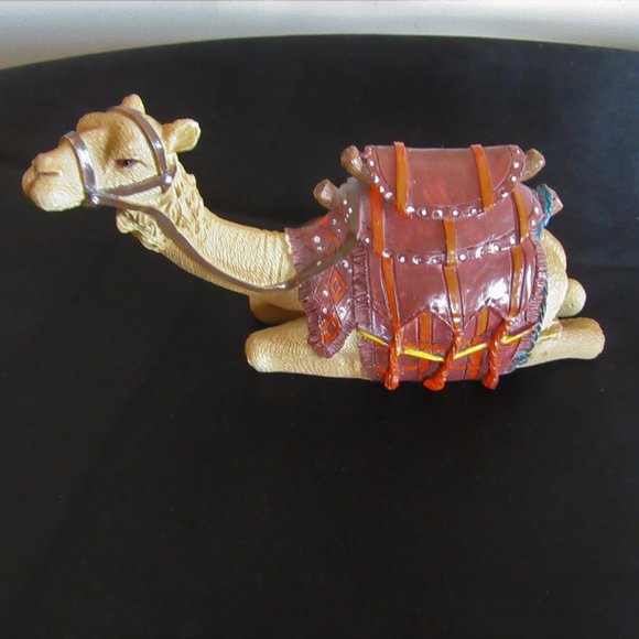 Camel good shape - Picture 4 of 11